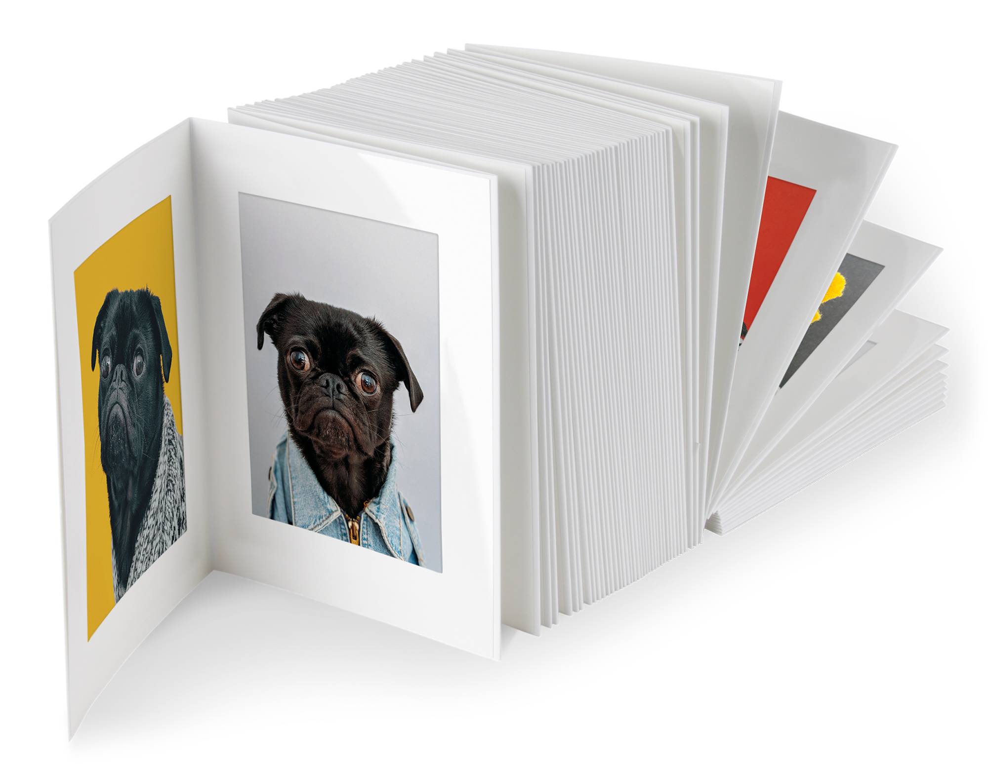 Endlosleporello Chromolux Weiß / Chromolux Weiß für Bilder 10 x 15 cm (14,6 x 19,4 cm) - CX-20530-R