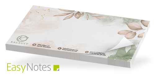 EasyNotes Haftnotizen 125 x 72 mm - 141405024000